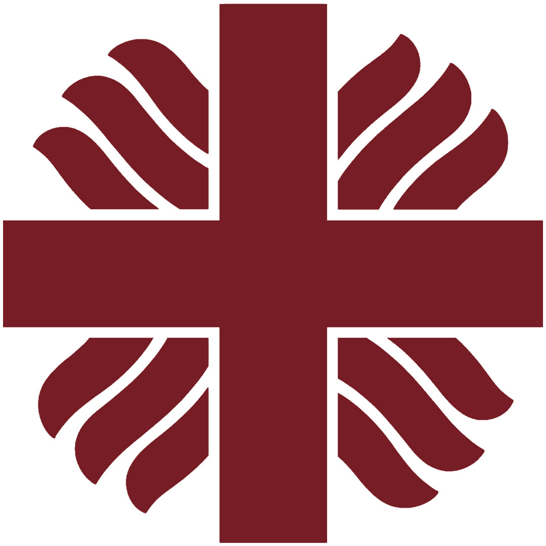 Caritas Francis Hsu College Ranking 2026