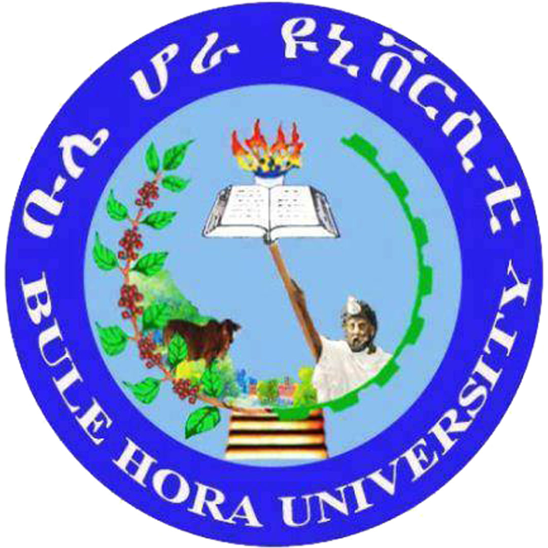 Bule Hora University Ranking 2026