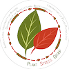 Agricultural University of Athens Ranking 2026