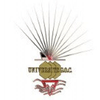 GOC University Ranking 2026 GOC University Ranking 2026