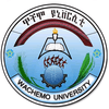 Wachemo University Ranking 2026