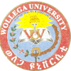 Wollega University Ranking 2026